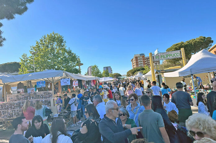 Mostra mercato macchine agricole 2024-cover