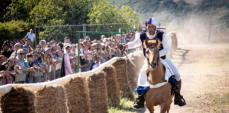 Palio dell’Anello di Tarquinia, tutto pronto per l’attesissima sfida delle contrade Rievocazione storica delle Contrade e Palio dell’Anello (4)