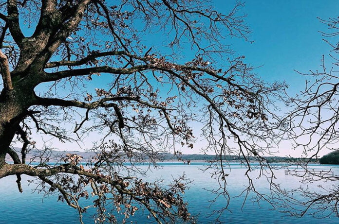 riserva del lago di vico di @stellisonica