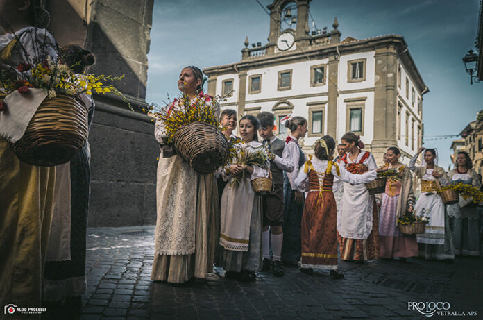 sposalizio dell'albero 2024