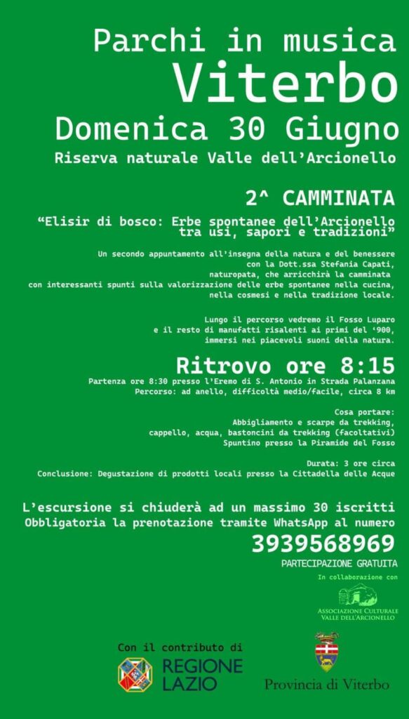 449278493_452597870857726_3802462093293899949_n