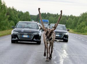 GIORNO 10 - Norvegia - SapmiPark - 1