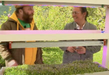 I mestieri di Mirko. Un viaggio per l’Italia alla scoperta di arti e professioni mai dimenticate