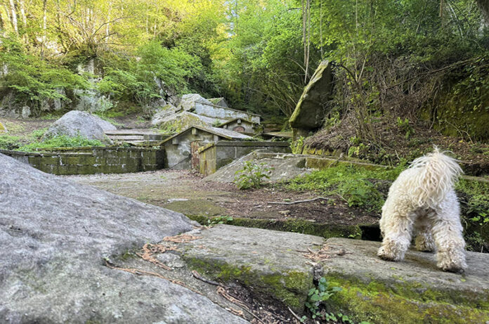 Riserva dell'Arcionello Riserva dell'Arcionello