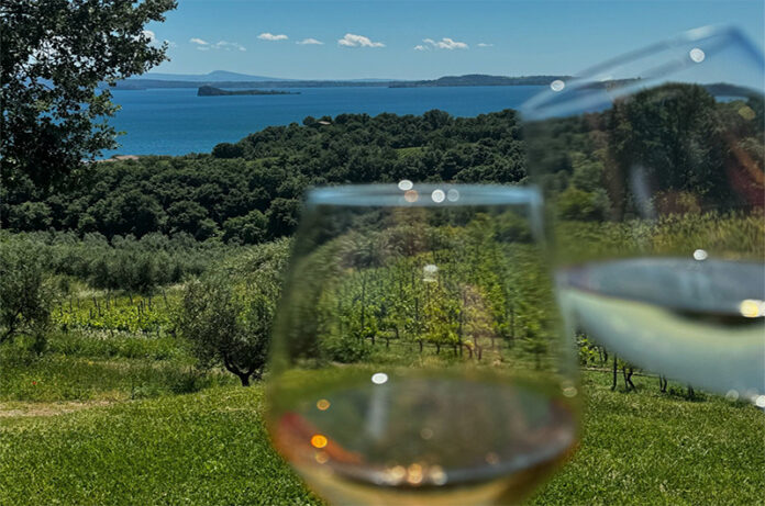 Villa caviciana-cover