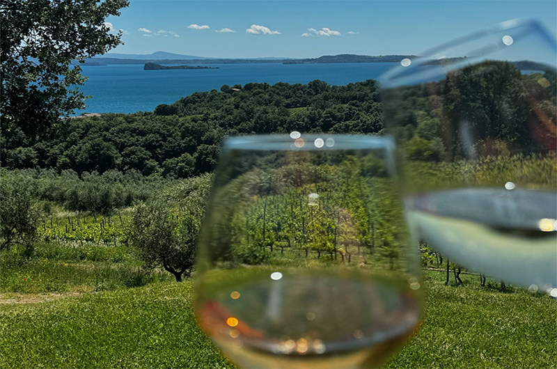 Villa caviciana-cover