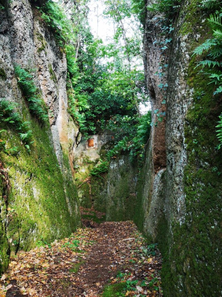 rISERVA DI mONTE cASOLI COMUNE DI bOMARZO