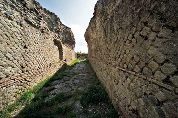 volsini-nova-4 volsini-nova-4