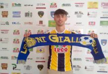 Leonardo Cuccioletta