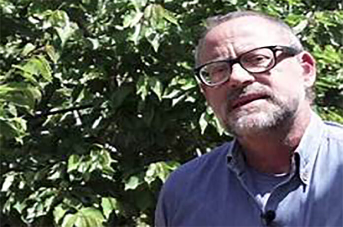 Marco Lauteri Marco Lauteri