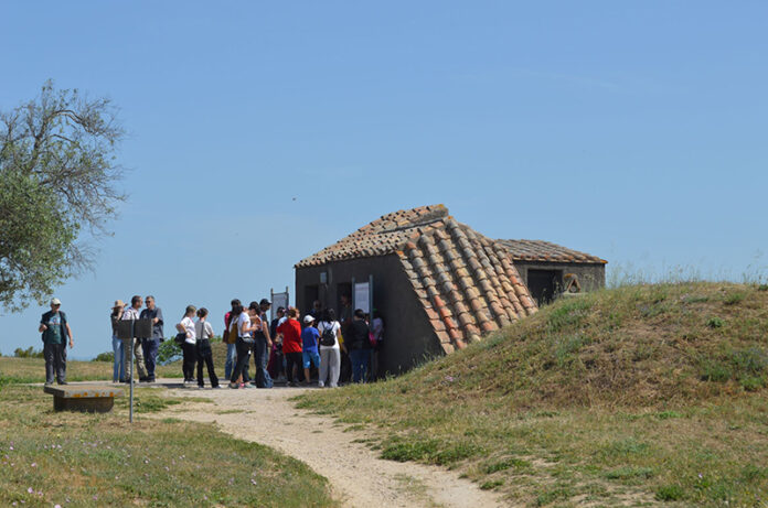Necropoli dei Monterozzi