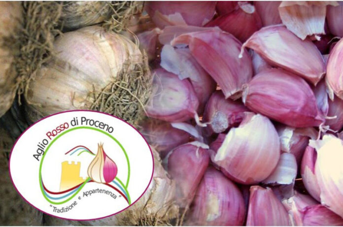 aglio rosso di proceno