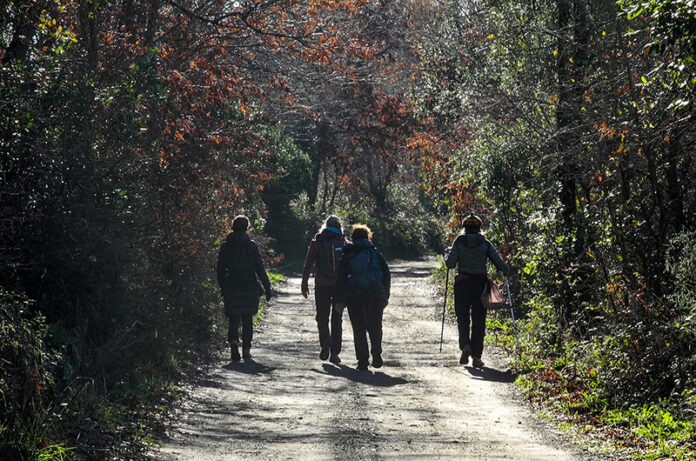 2ter.via del sambuco 2ter.via del sambuco