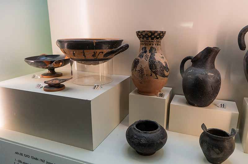 454771170_1038601194934606_1275592902273446347_n