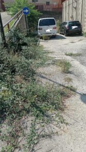 WhatsApp Image 2024-08-23 at 12.45.42 (2)