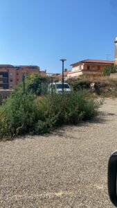 WhatsApp Image 2024-08-23 at 12.45.43