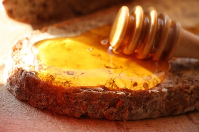 degustazione miele rieti