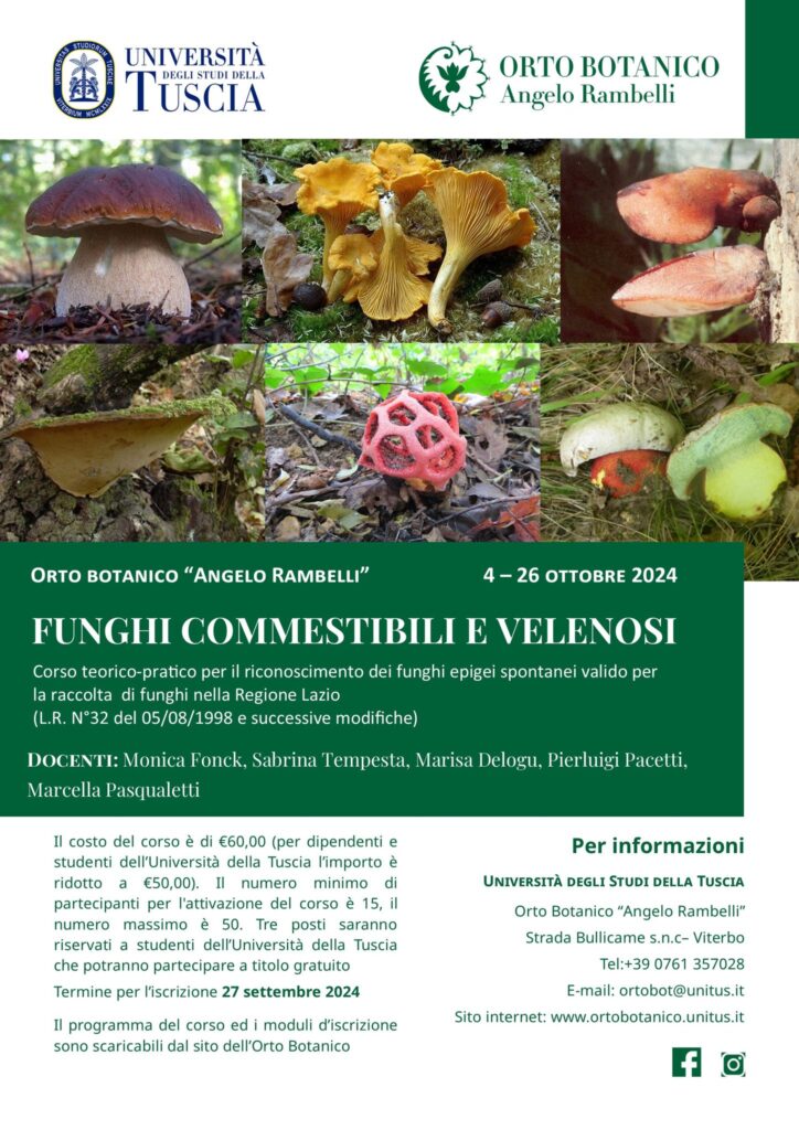 459159933_961605249103826_2415842383361415082_n