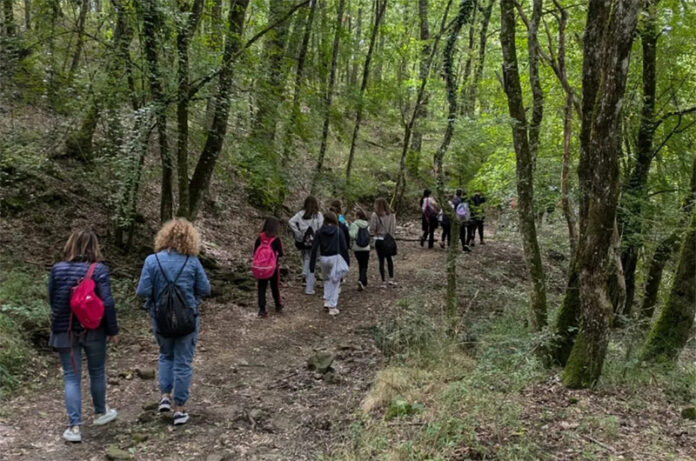 Festival della Sostenibilità e del Paesaggio Rurale
