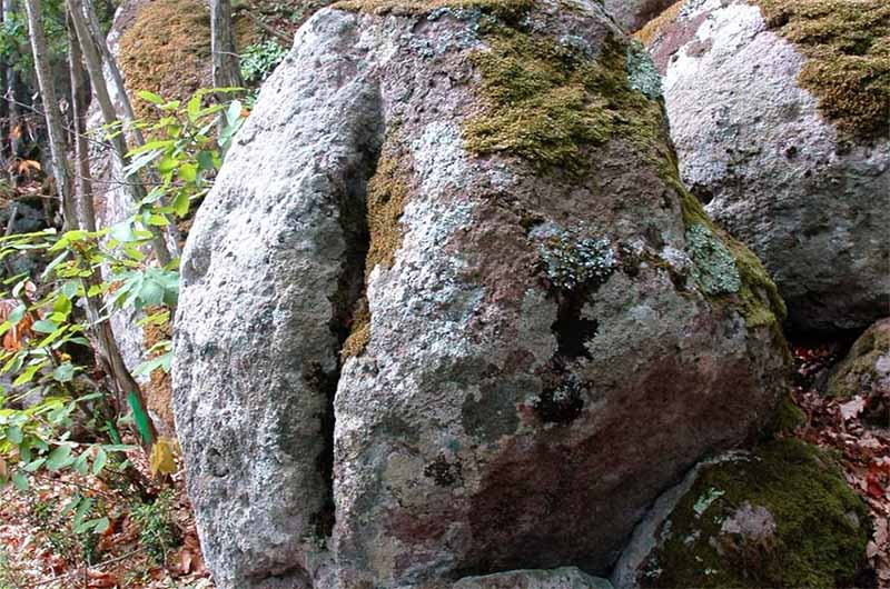 Masso della fertilità - Bagnaia