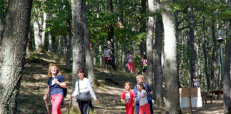 “Into the Trees”, presentato il festival di bikepacking e turismo sostenibile in prgramma a Trevinano e nella Riserva Naturale Monte Rufeno Monte Rufeno