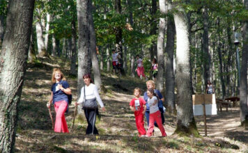 “Into the Trees”, presentato il festival di bikepacking e turismo sostenibile in prgramma a Trevinano e nella Riserva Naturale Monte Rufeno Monte Rufeno