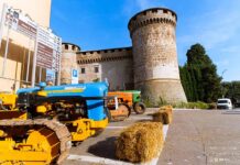 464801405_122202196136034720_1501342649936191920_n copia