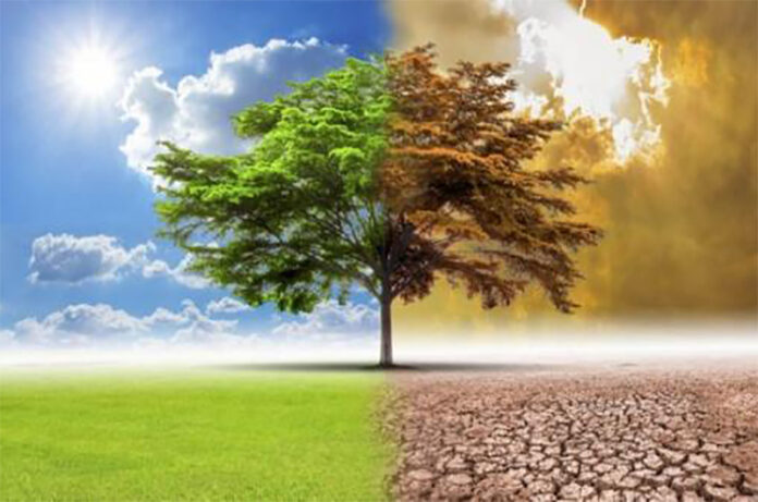 Cambiamenti climatici e sicurezza e salute sul lavoro in agricoltura