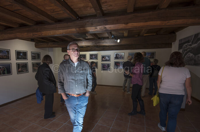 DSC_8677 copia DSC_8677 copia