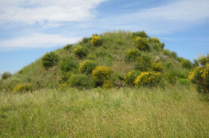 Doganaccia-Tarquinia