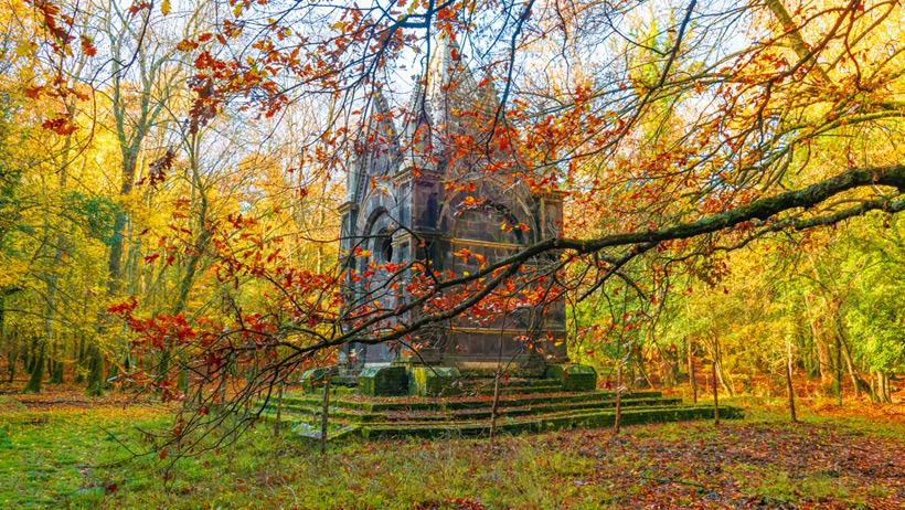Foliage al bosco del Sasseto