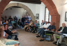 Fotovoltaico selvaggio