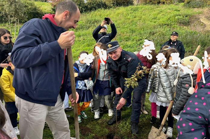 Feste dell'Albero-Acquapendente