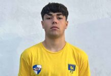 Vito Guerriero-cover