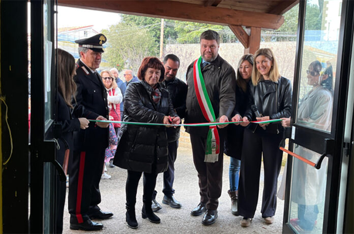 bassano in teverina piantumazione albero