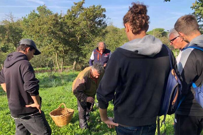 corso micologico Tarquinia