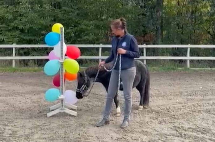 irma de marco della martingala - cover