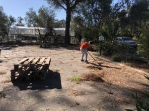 lavori nel parco di Villa Leda