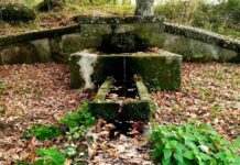 Vitorchiano, al via il recupero di alcune aree e percorsi naturalistici percorsi naturalisttici a Vitorchiano