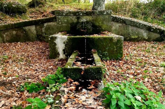 percorsi naturalisttici a Vitorchiano