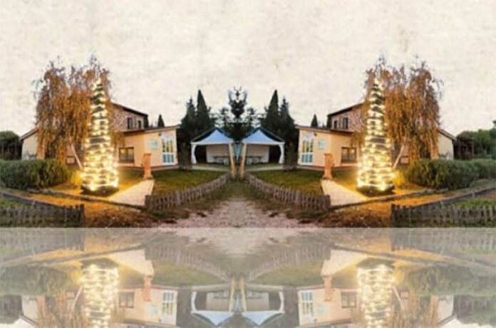 Aspettando il Natale in Fattoria