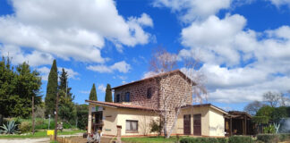 Natale in Fattoria 2025, il programma degli appuntamenti e dei laboratori Fattoria di Alice