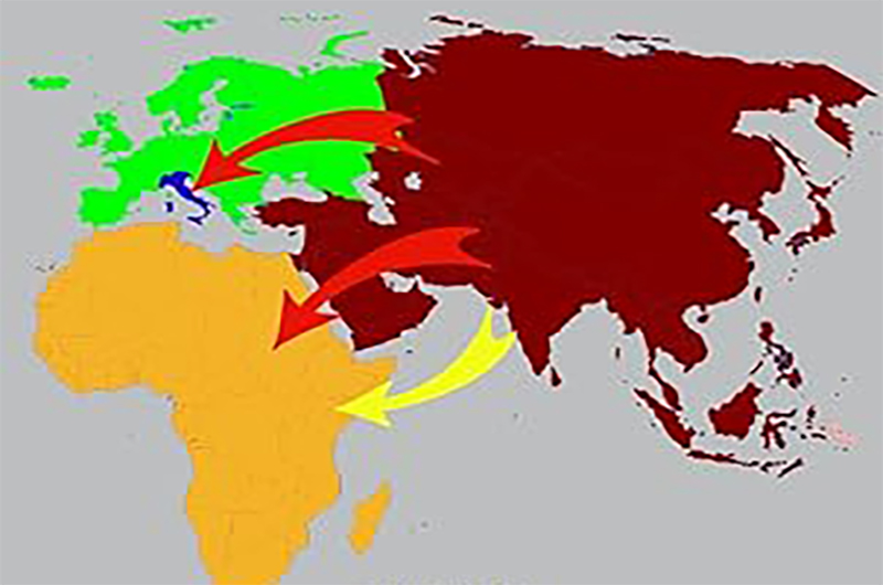 Teoria elementari degli investimenti umani-libro
