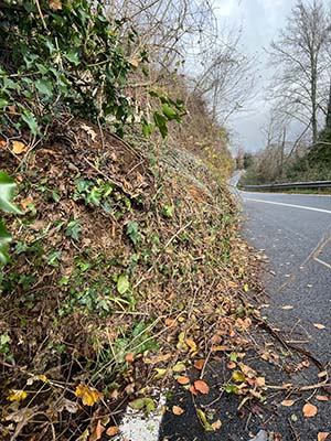 b14c2566-a652-4d5f-bbeb-3ddcec25c714 copia b14c2566-a652-4d5f-bbeb-3ddcec25c714 copia