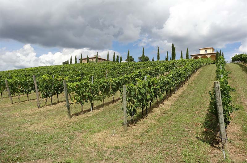 Podere Elvella-Trevinano