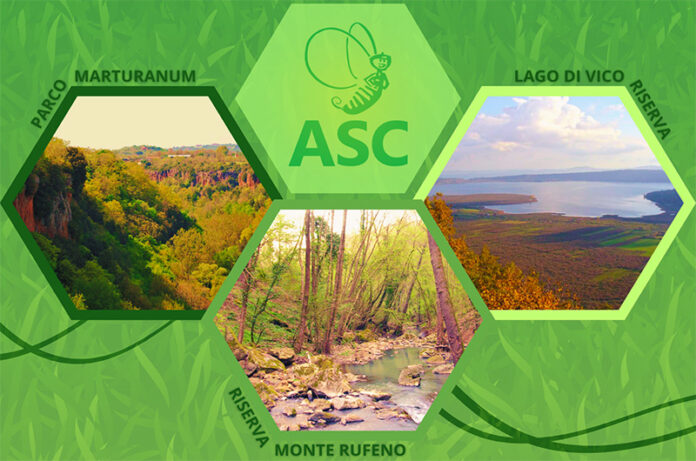 Servizio Civile con Arci Viterbo e CSV Lazio