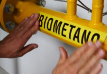 Biodigestore, Coldiretti Viterbo: “Nuova minaccia per vocazione agricola e turistica della Tuscia” coldirettivtbiometano