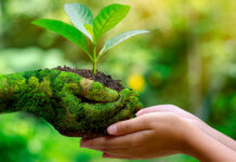 serviziocivileambientale