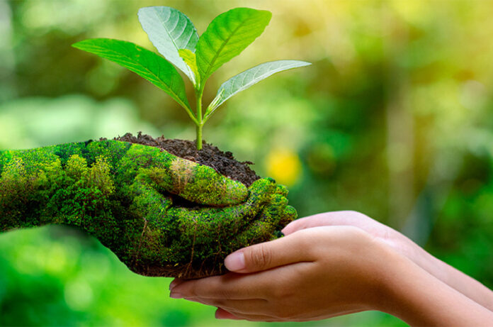 serviziocivileambientale serviziocivileambientale