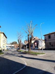 ACQUAPENDENTE_POTATURE_1